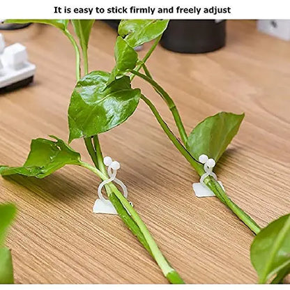 Pinzas de Sujeción a la Pared Trepadoras - Prácticos Soportes para Plantas para la Decoración de Paredes Pinzas de Sujeción a la Pared Trepadoras