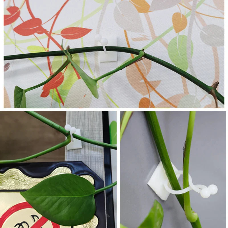 Pinzas de Sujeción a la Pared Trepadoras - Prácticos Soportes para Plantas para la Decoración de Paredes Pinzas de Sujeción a la Pared Trepadoras