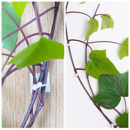 Pinzas de Sujeción a la Pared Trepadoras - Prácticos Soportes para Plantas para la Decoración de Paredes Pinzas de Sujeción a la Pared Trepadoras