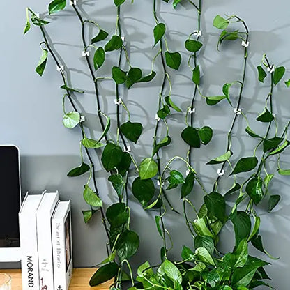 Pinzas de Sujeción a la Pared Trepadoras - Prácticos Soportes para Plantas para la Decoración de Paredes Pinzas de Sujeción a la Pared Trepadoras