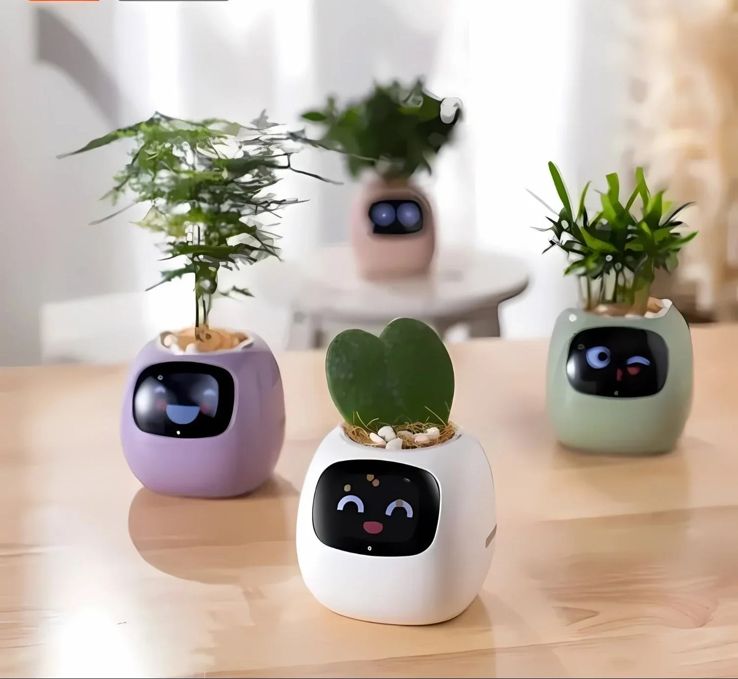 Maceta Inteligente Automática Con Sistema De Riego Y Luces LED