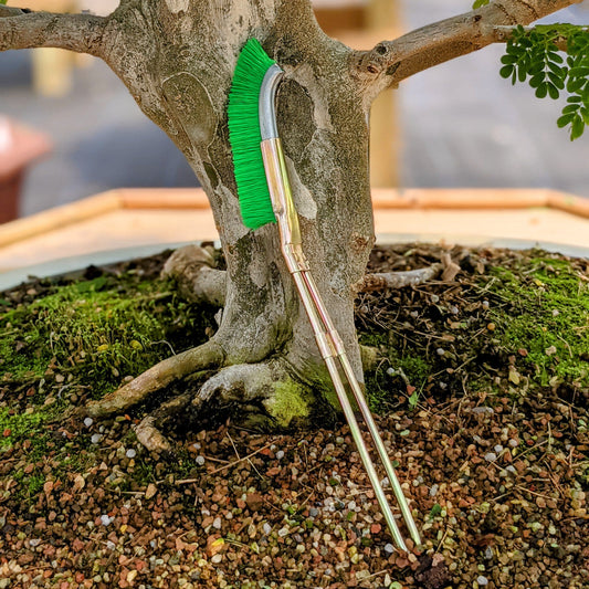 Cepillo de Nailon para la Limpieza de la Zona Del Tronco Del Bonsái - Herramienta para el Cuidado Del Jardín