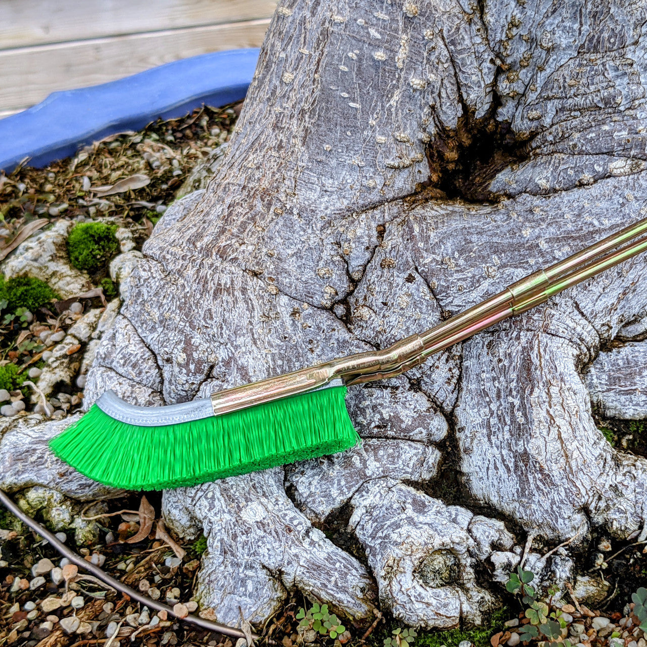 Cepillo de Nailon para la Limpieza de la Zona Del Tronco Del Bonsái - Herramienta para el Cuidado Del Jardín