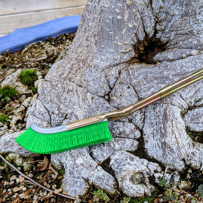 Cepillo de Nailon para la Limpieza de la Zona Del Tronco Del Bonsái - Herramienta para el Cuidado Del Jardín