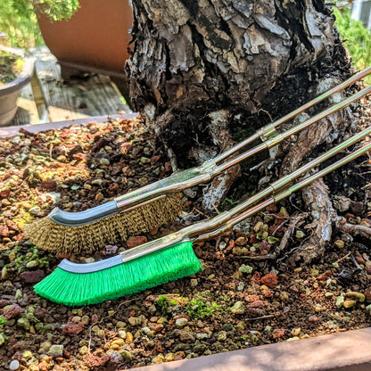 Cepillo de Nailon para la Limpieza de la Zona Del Tronco Del Bonsái - Herramienta para el Cuidado Del Jardín