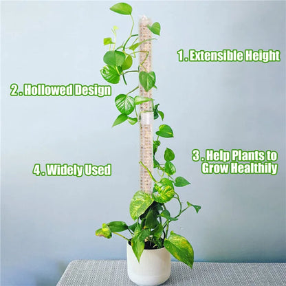 Pilares Para Plantas Trepadoras Y Plantas Verdes - Pilares De Soporte Para El Cultivo Vertical De Plantas Pilares Para Plantas Trepadoras Y Plantas Verdes