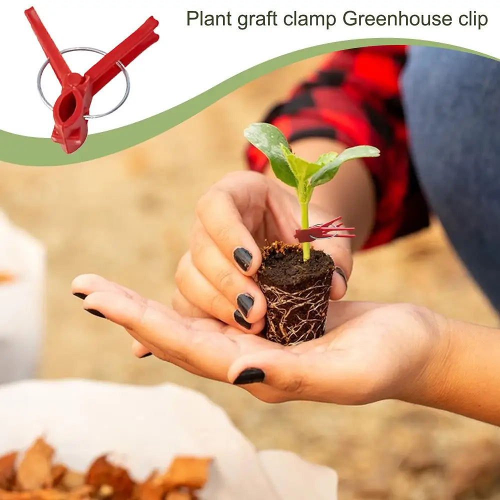 Pinzas de Injerto de Plástico para Plantas de Jardín - Ideales para Hortalizas y el Cuidado de las Plantas