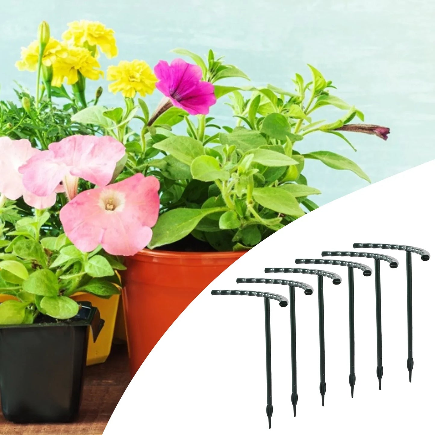 Soporte Robusto con Diseño de Jaula para el Crecimiento y la Estabilidad Soporte Trepador para Plantas