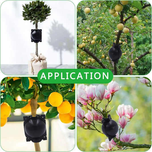 Bolas Protectoras De Plantas Para Raíces - Tapones Protectores Para Un Trasplante Y Crecimiento Seguros