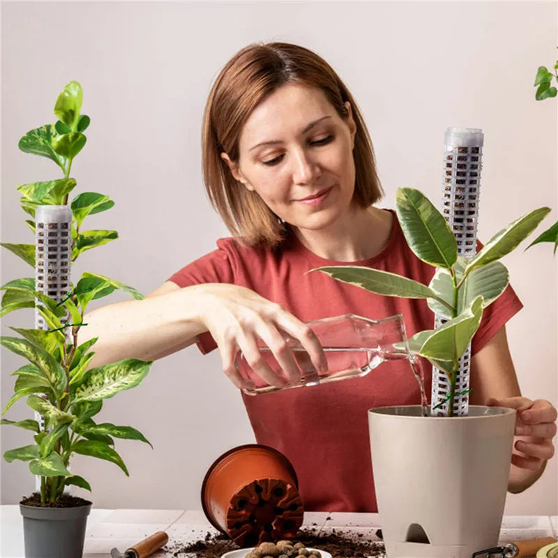 Pilares Para Plantas Trepadoras Y Plantas Verdes - Pilares De Soporte Para El Cultivo Vertical De Plantas Pilares Para Plantas Trepadoras Y Plantas Verdes