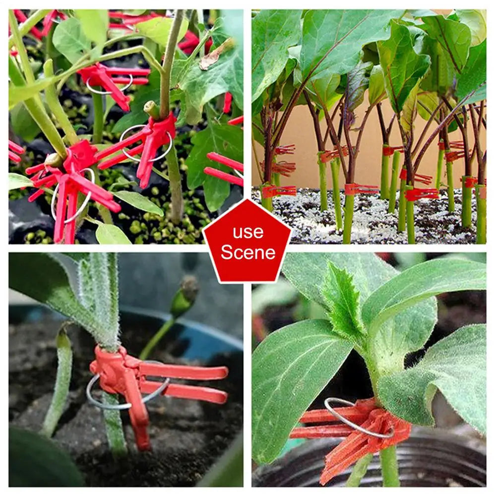 Pinzas de Injerto de Plástico para Plantas de Jardín - Ideales para Hortalizas y el Cuidado de las Plantas
