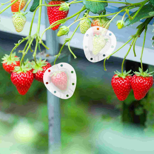 Molde Para Verduras En Forma De Corazón - Creativo Bol Moldeado Para Verduras Y Frutas Molde Para Verduras En Forma De Corazón