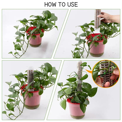 Pilares Para Plantas Trepadoras Y Plantas Verdes - Pilares De Soporte Para El Cultivo Vertical De Plantas Pilares Para Plantas Trepadoras Y Plantas Verdes
