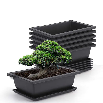 Maceta Con Platillo - Maceta Rectangular Para Jardín Y Balcón Maceta Con Platillo