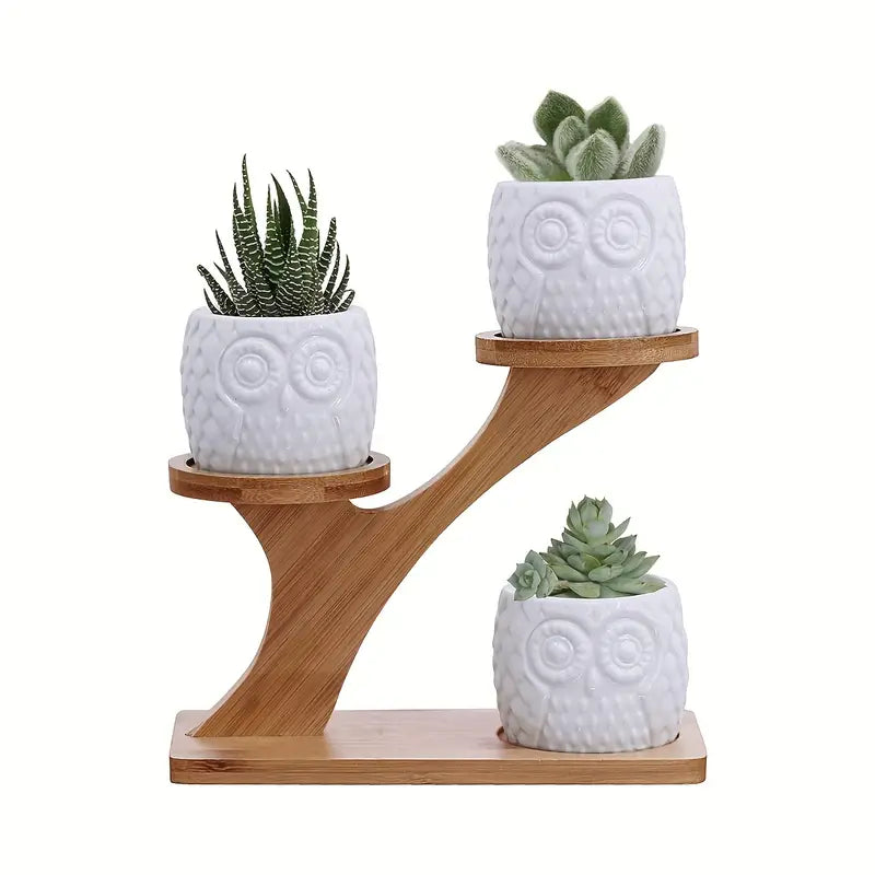 Macetero Decorativo de Madera - Macetas con Diseño de Búho para Suculentas y Plantas de Interior
