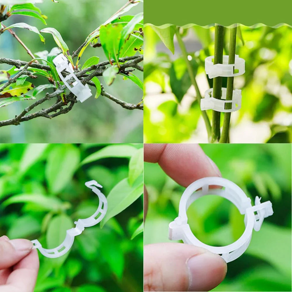 Pinza de Soporte para Plantas Trepadoras - Soporte Flexible para Tallos de Plantas Pinza de Soporte para Plantas Trepadoras