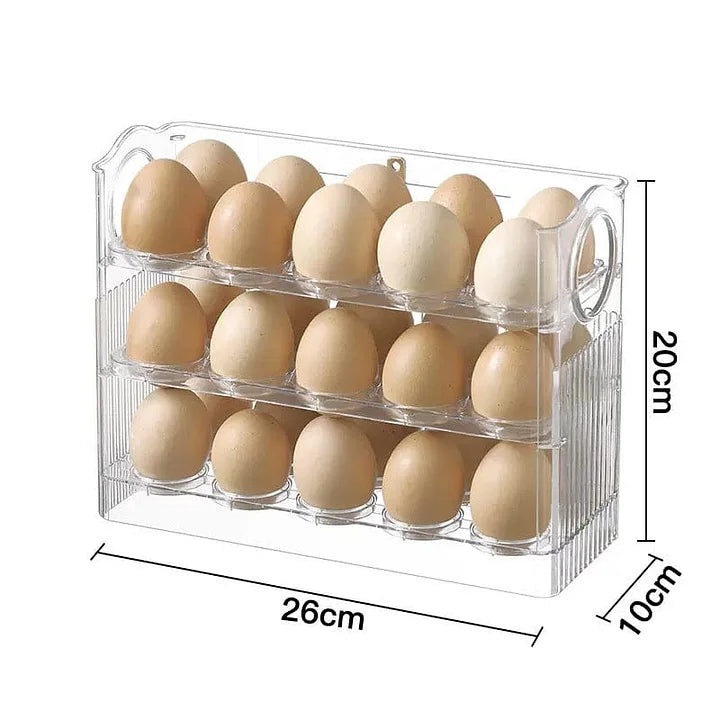 Práctico Organizador de Huevos