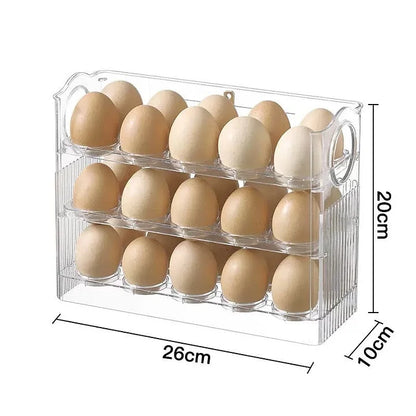 Práctico Organizador de Huevos
