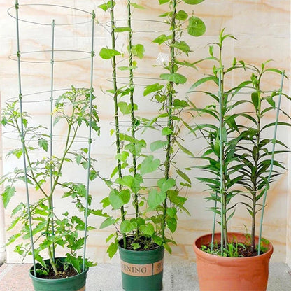 Armazón Trepador Para Plantas - Armazón De Anillas De Soporte Estable Para Plantas Trepadoras Armazón Trepador Para Plantas