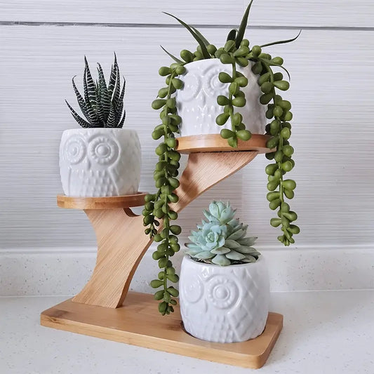 Macetero Decorativo de Madera - Macetas con Diseño de Búho para Suculentas y Plantas de Interior