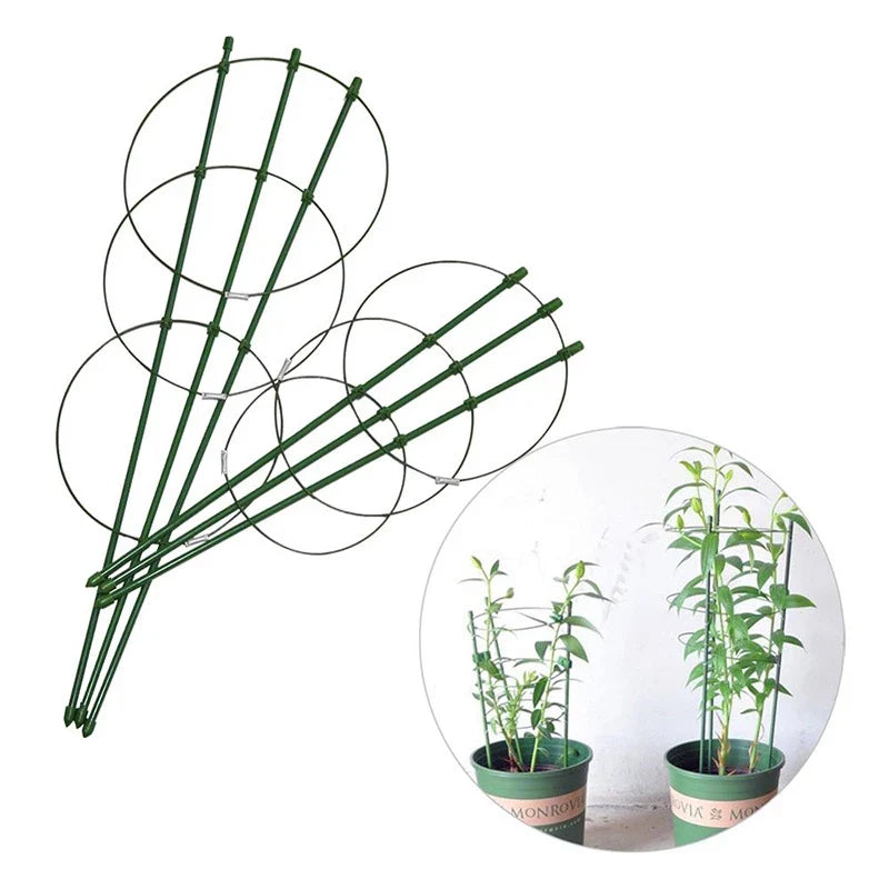 Armazón Trepador Para Plantas - Armazón De Anillas De Soporte Estable Para Plantas Trepadoras Armazón Trepador Para Plantas