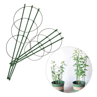 Armazón Trepador Para Plantas - Armazón De Anillas De Soporte Estable Para Plantas Trepadoras Armazón Trepador Para Plantas