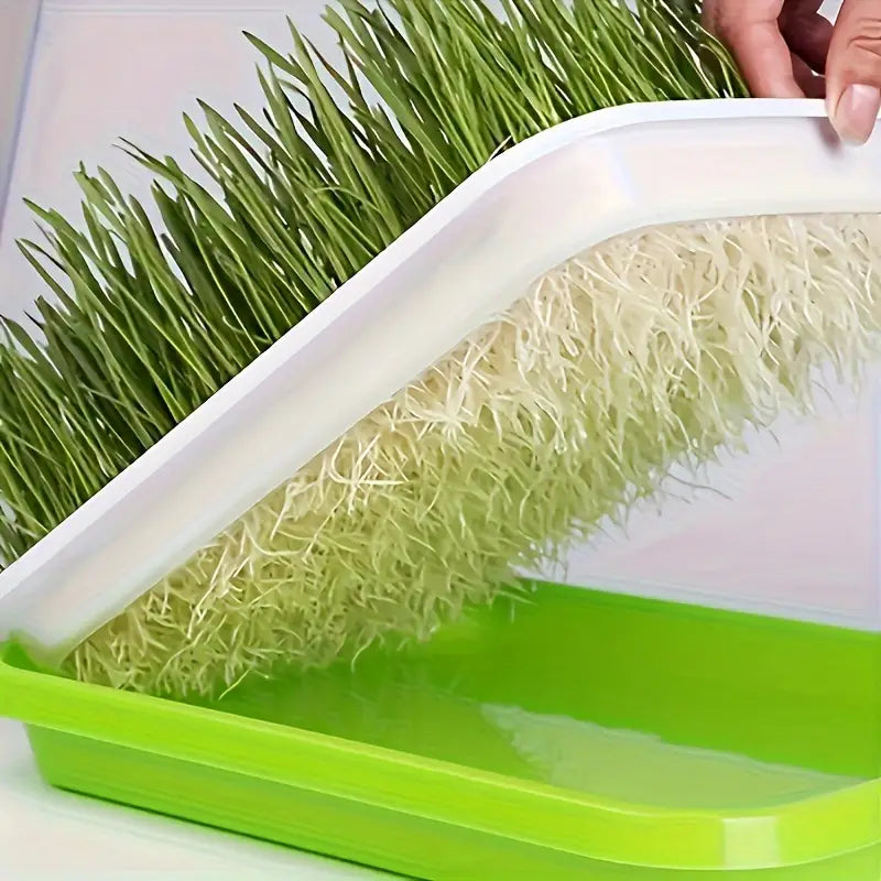 Bandejas de Germinación con Tapa - Bandeja de Semillas de Doble Capa para una Germinación Eficaz de las Semillas