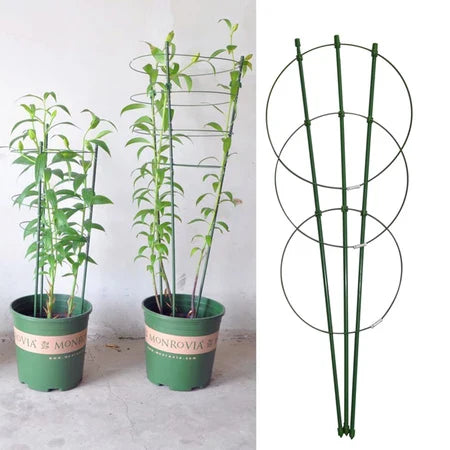 Armazón Trepador Para Plantas - Armazón De Anillas De Soporte Estable Para Plantas Trepadoras Armazón Trepador Para Plantas
