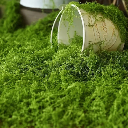 Musgo Artificial para Paisajismo - Musgo y Flores para Decoración y Floristería