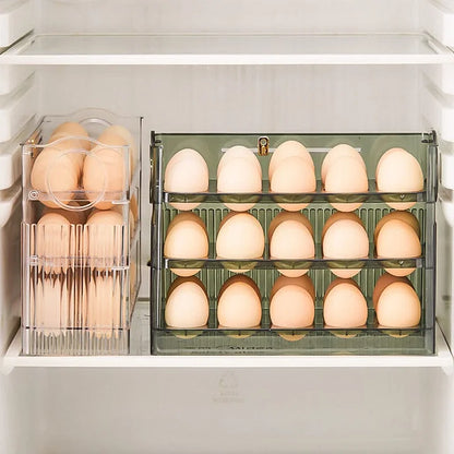 Práctico Organizador de Huevos