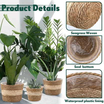 Cestas Decorativas Para Plantas Hechas De Hierba Marina En Un Set De 3 - Macetas Tejidas A Mano Con Inserción De Lámina