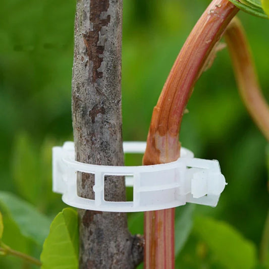 Pinza de Soporte para Plantas Trepadoras - Soporte Flexible para Tallos de Plantas Pinza de Soporte para Plantas Trepadoras