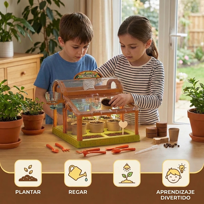 Invernadero LED para niños de acrílico – Kit de cultivo interior para aprendizaje lúdico y crecimiento de plantas