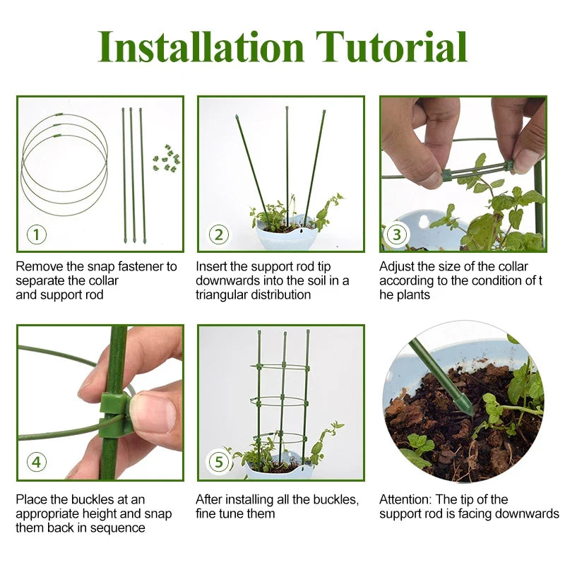Armazón Trepador Para Plantas - Armazón De Anillas De Soporte Estable Para Plantas Trepadoras Armazón Trepador Para Plantas