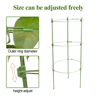 Armazón Trepador Para Plantas - Armazón De Anillas De Soporte Estable Para Plantas Trepadoras Armazón Trepador Para Plantas