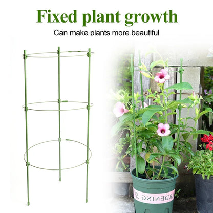 Armazón Trepador Para Plantas - Armazón De Anillas De Soporte Estable Para Plantas Trepadoras Armazón Trepador Para Plantas