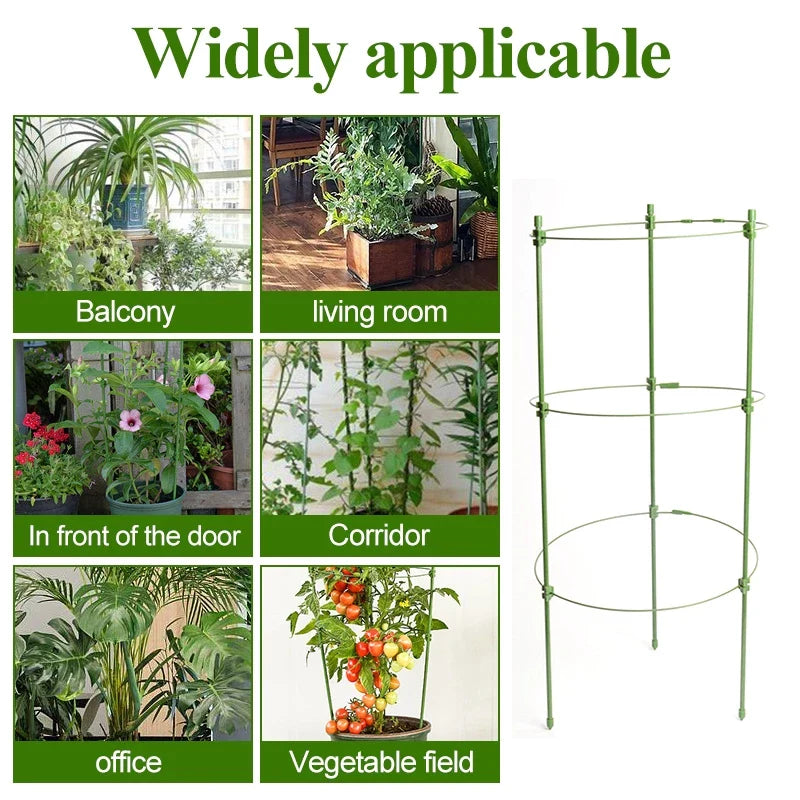 Armazón Trepador Para Plantas - Armazón De Anillas De Soporte Estable Para Plantas Trepadoras Armazón Trepador Para Plantas