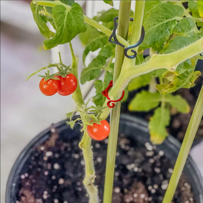 Pinza para Plantas con Forma de Gato - Simpático Soporte para Plantas de Jardín y de Interior